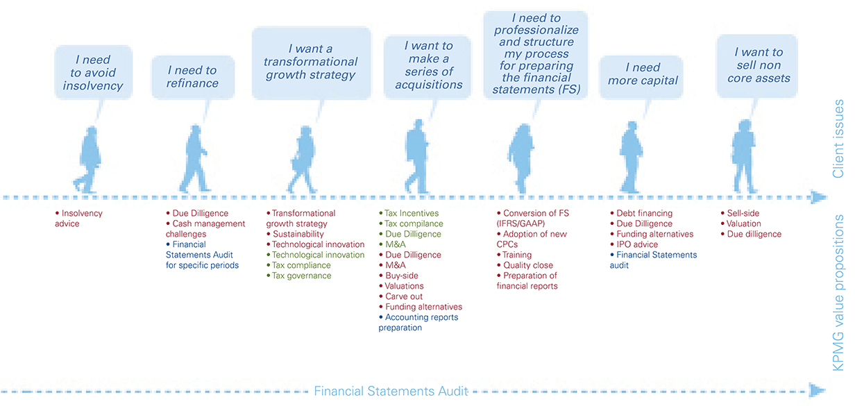 Kpmg Organizational Structure Chart